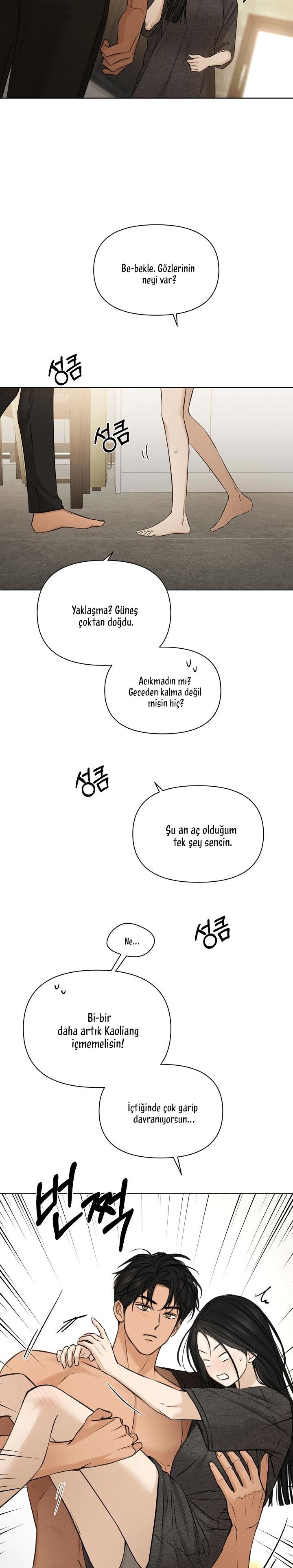 31-cm2xdfr0s0001tt82570od8ls