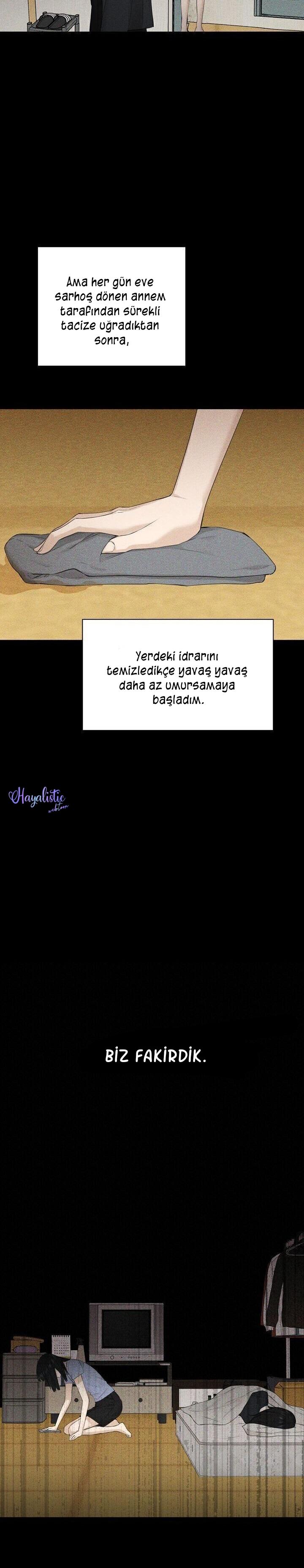 7-cm2xdfr0s0001tt82570od8ls