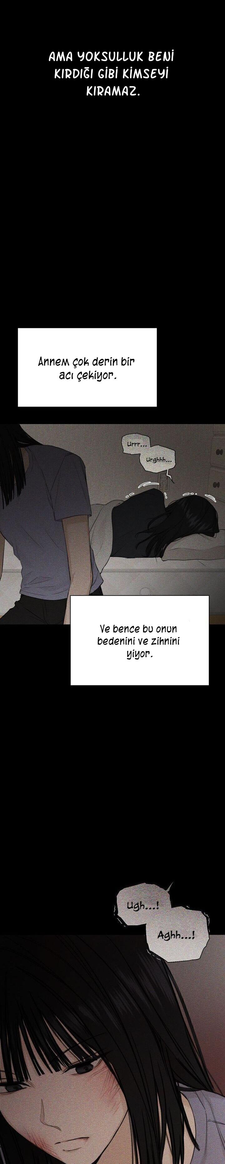 8-cm2xdfr0s0001tt82570od8ls