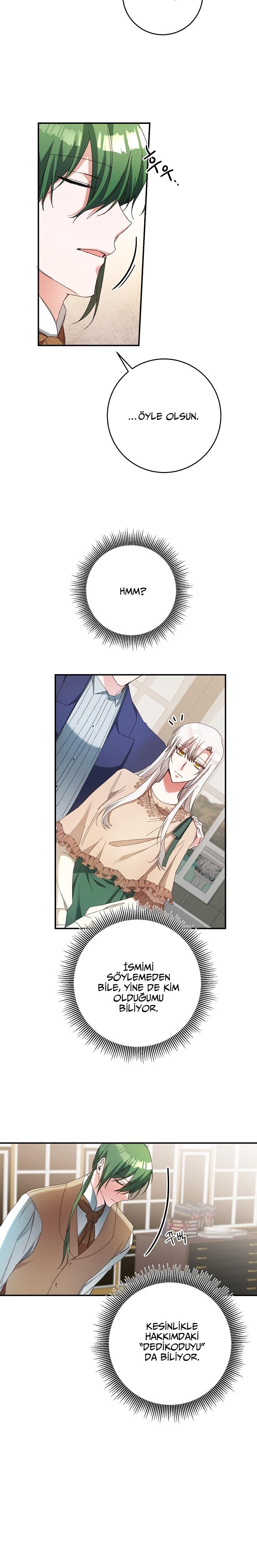 7-cmc1vvo430025phxcd4xhnki2