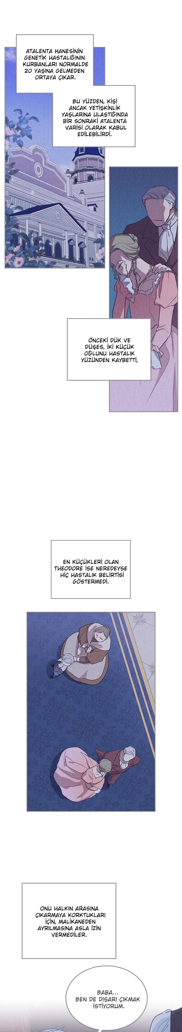 2-cmc1vvo430025phxcd4xhnki2