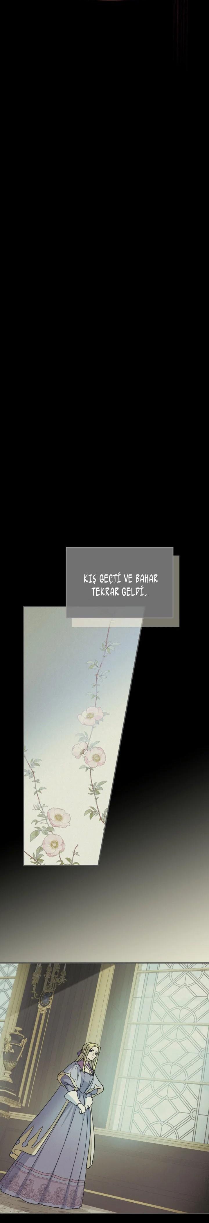 18-cmc1vvo430025phxcd4xhnki2