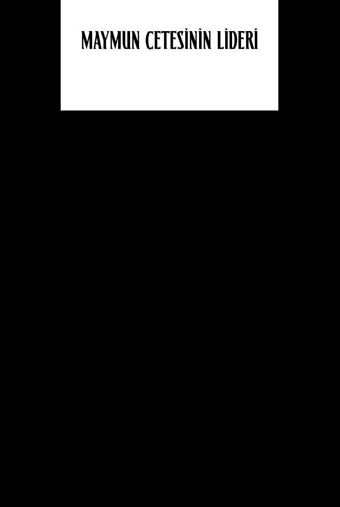 58-cmc1vvo430025phxcd4xhnki2