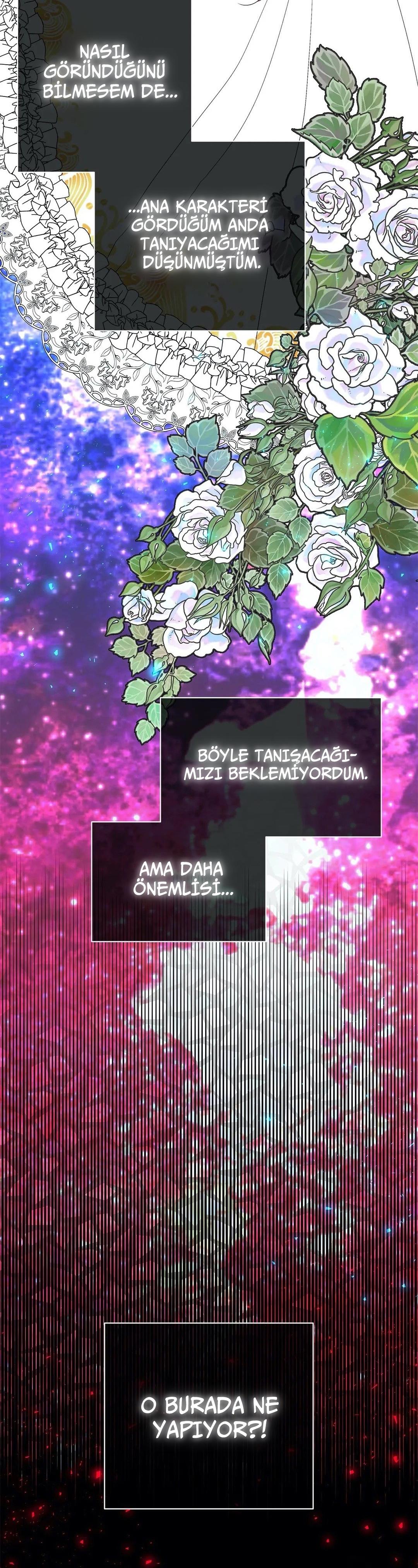 28-cmnr89xt50cr1ucwa727zlm0s