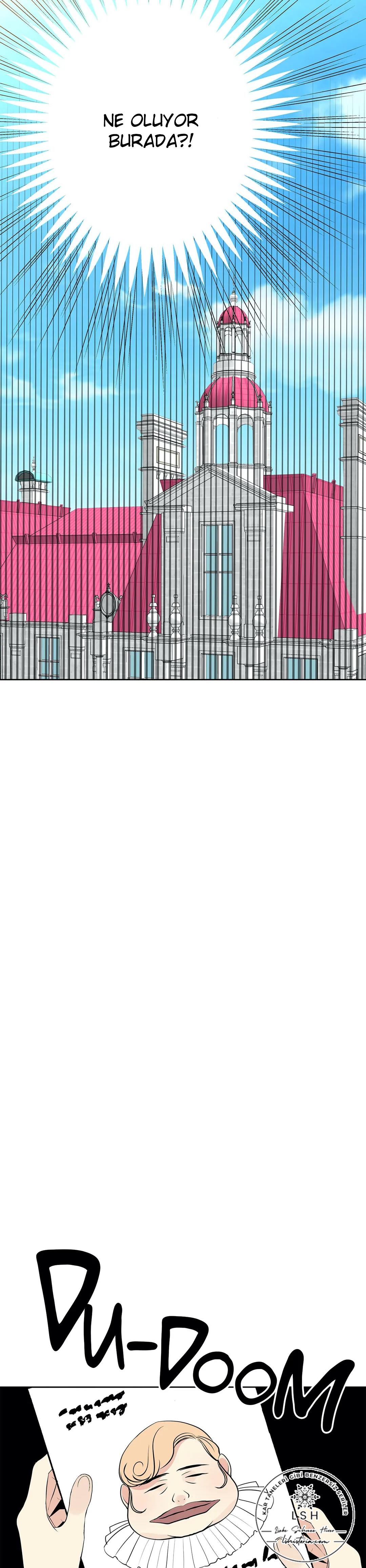 20-cmnr89xt50cr1ucwa727zlm0s