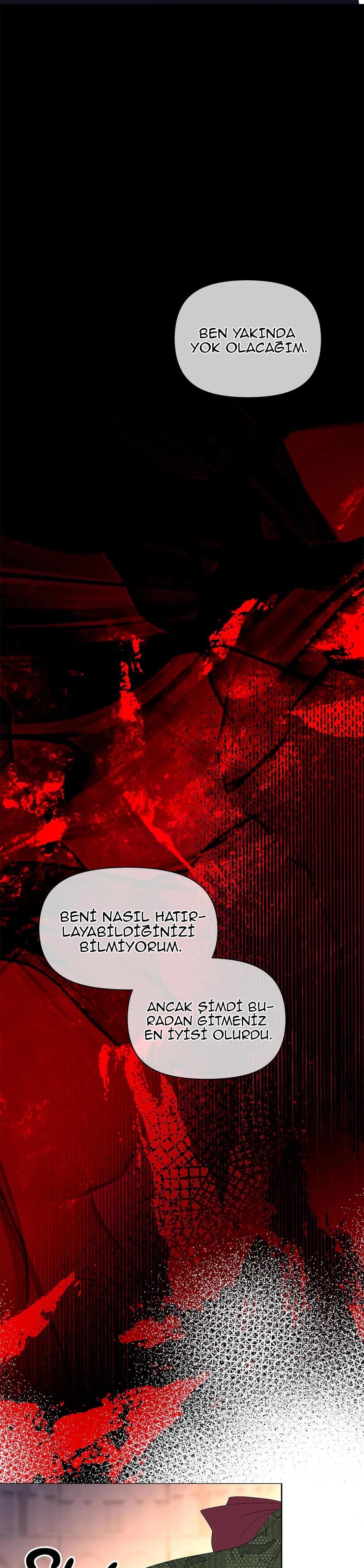 14-cmnr89xt50cr1ucwa727zlm0s