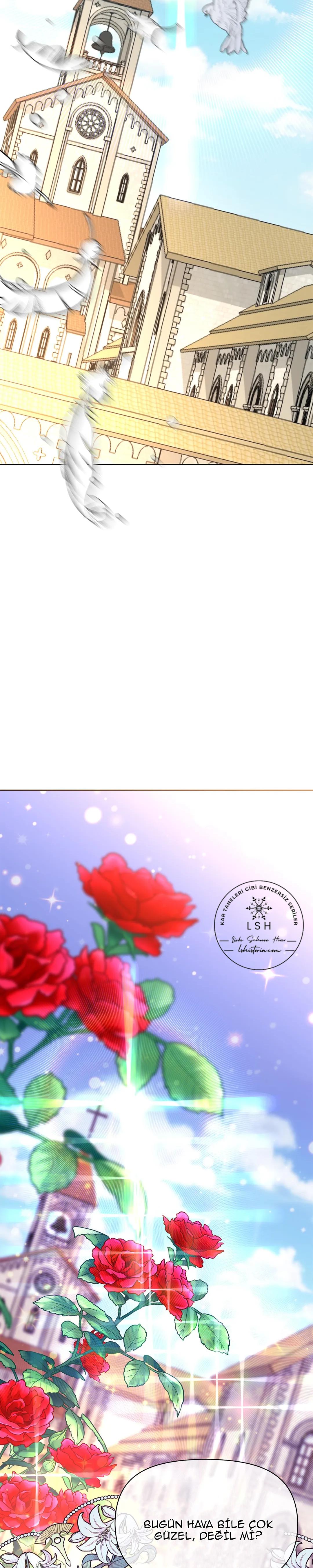 25-cmnr89xt50cr1ucwa727zlm0s