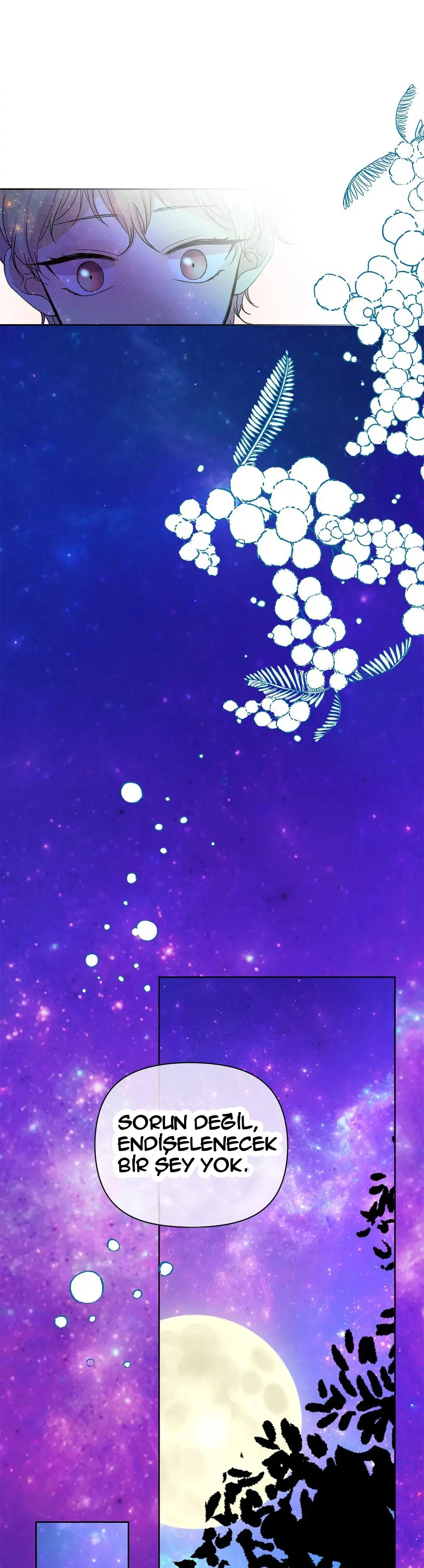 9-cmnr89xt50cr1ucwa727zlm0s