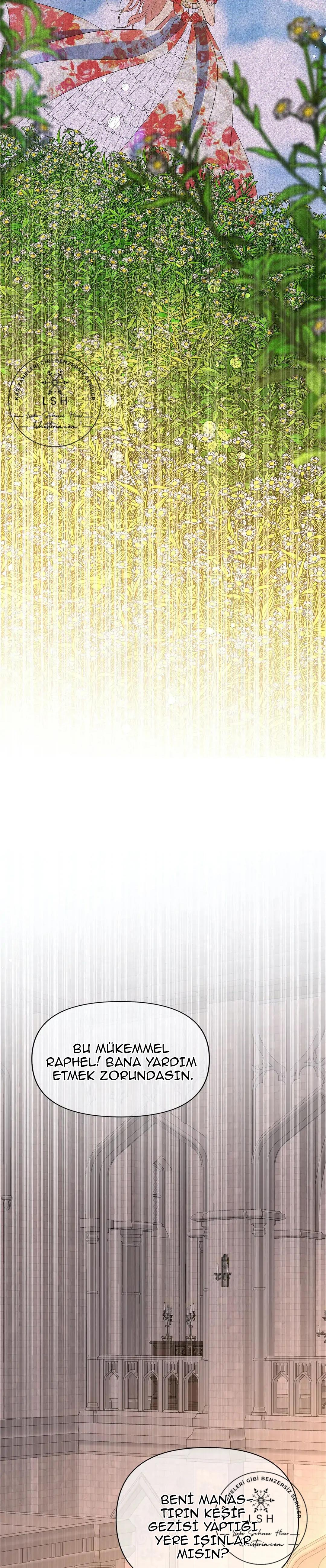 7-cmnr89xt50cr1ucwa727zlm0s