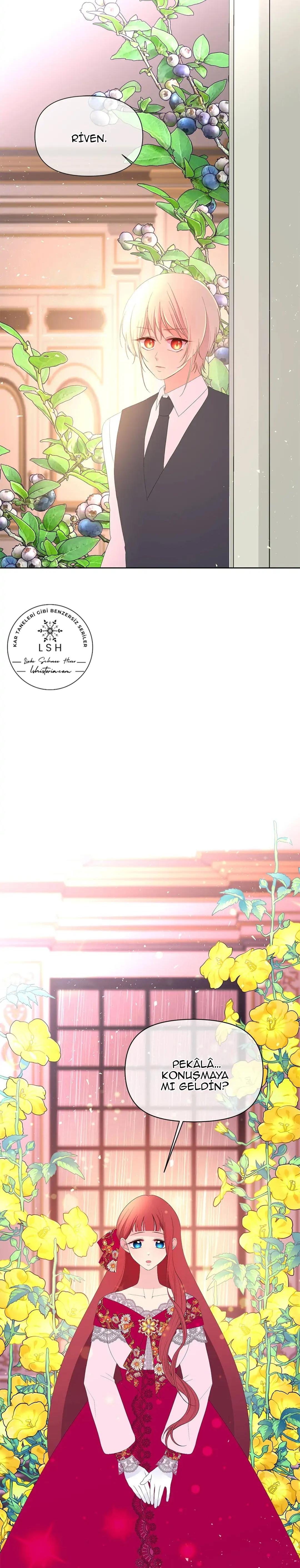5-cmnr89xt50cr1ucwa727zlm0s