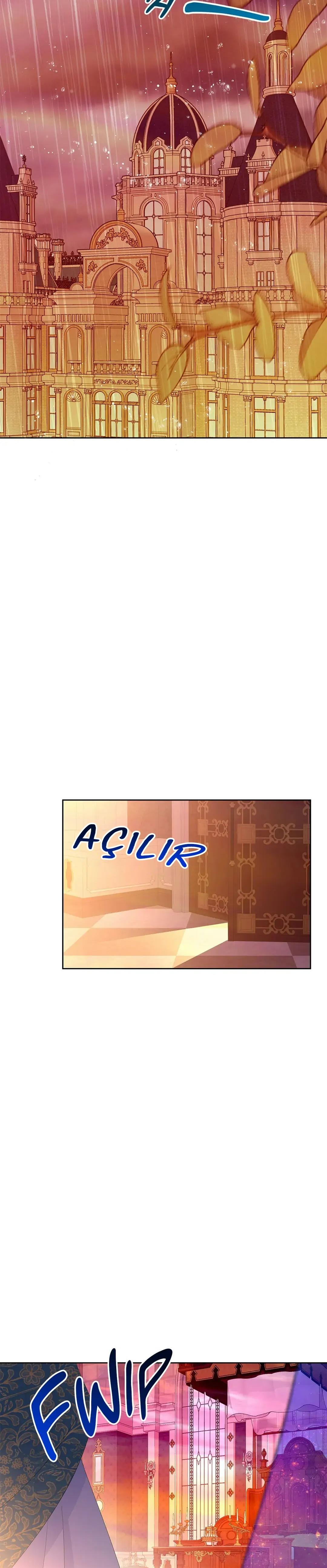 21-cmnr89xt50cr1ucwa727zlm0s