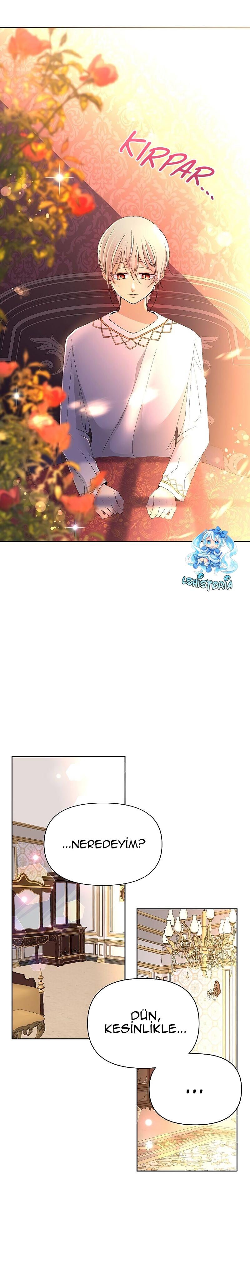 12-cmnr89xt50cr1ucwa727zlm0s