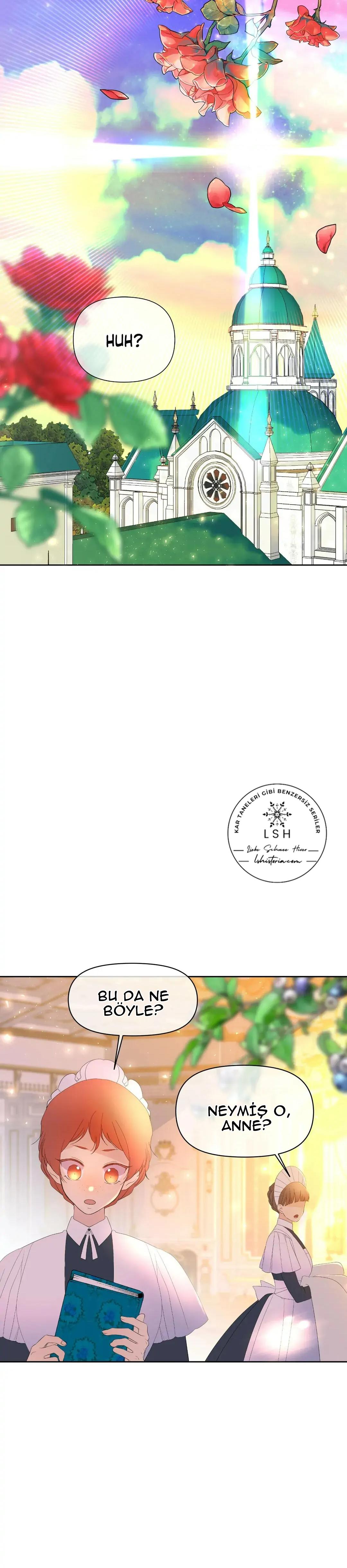 41-cmnr89xt50cr1ucwa727zlm0s