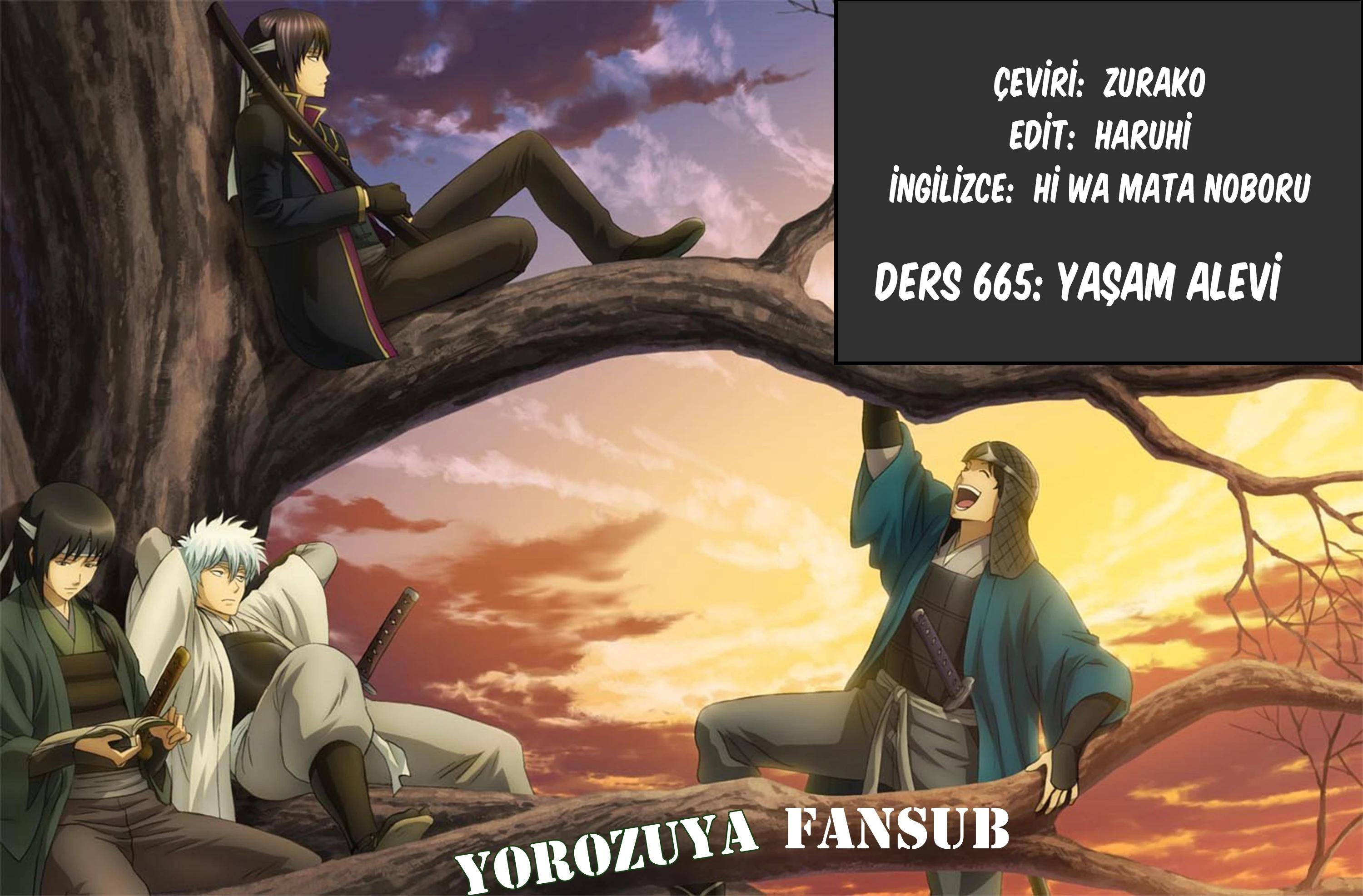 1-cm5ya3xt20000eovjogi0rsko