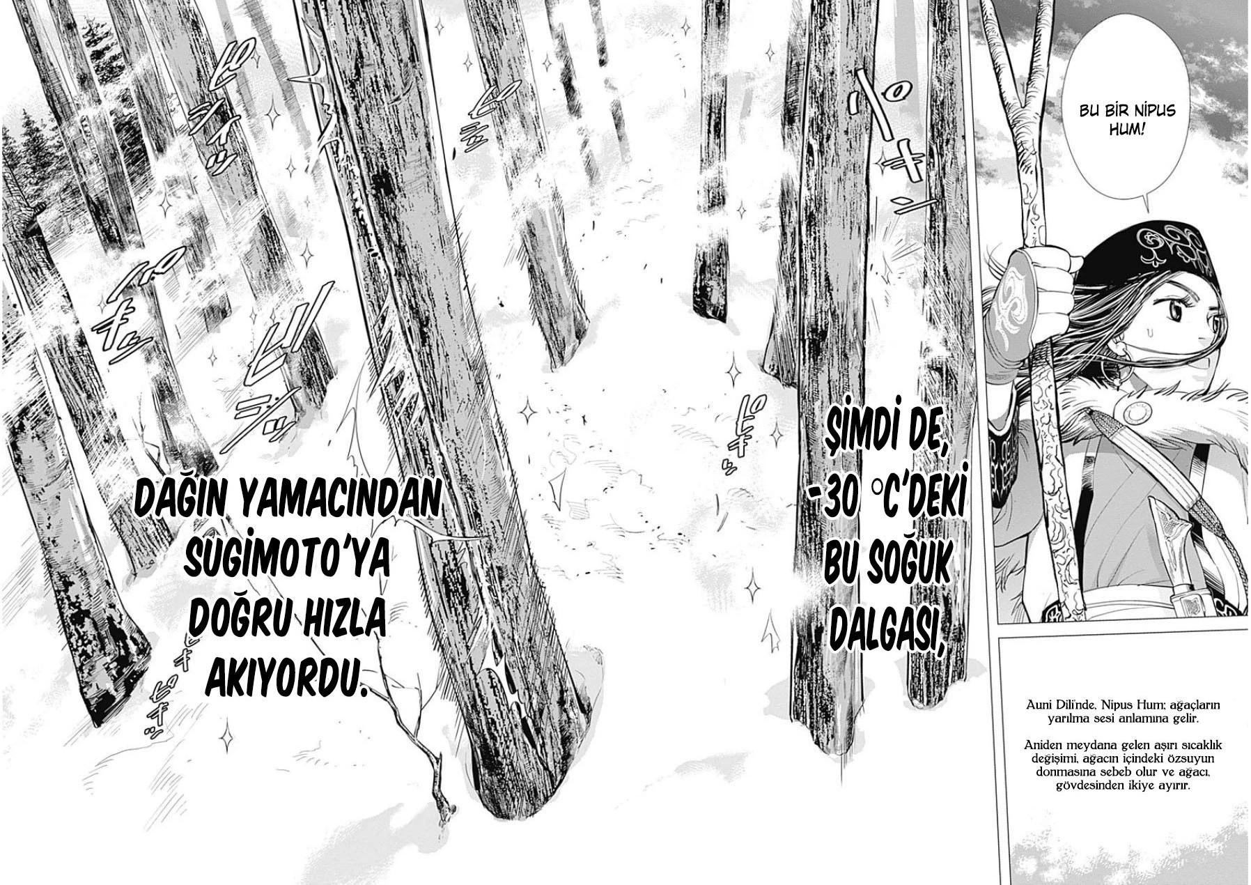 18-cm5ya3xt20000eovjogi0rsko