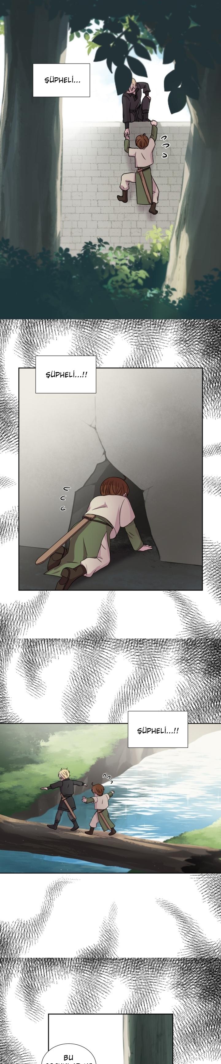 2-cm2xdfr0s0001tt82570od8ls