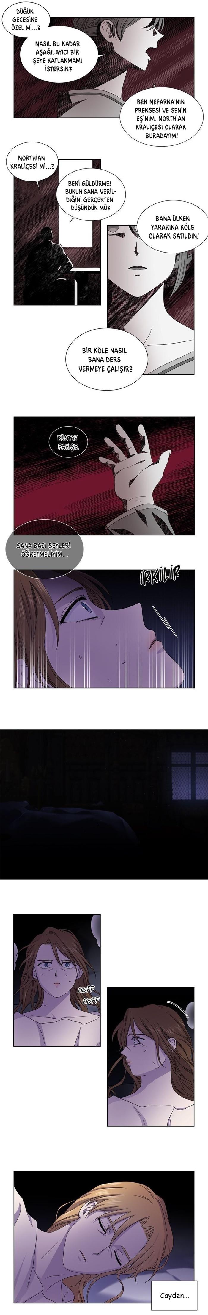 2-cm2xdfr0s0001tt82570od8ls