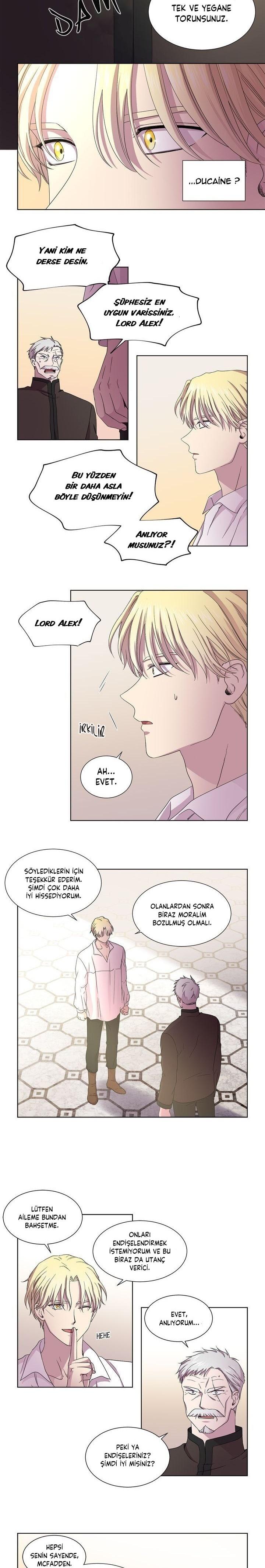 5-cm2xdfr0s0001tt82570od8ls