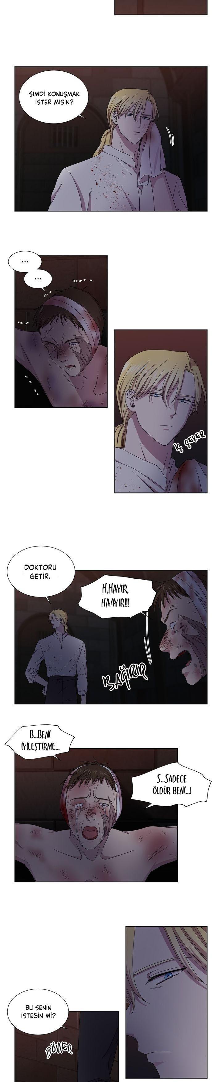 5-cm2xdfr0s0001tt82570od8ls