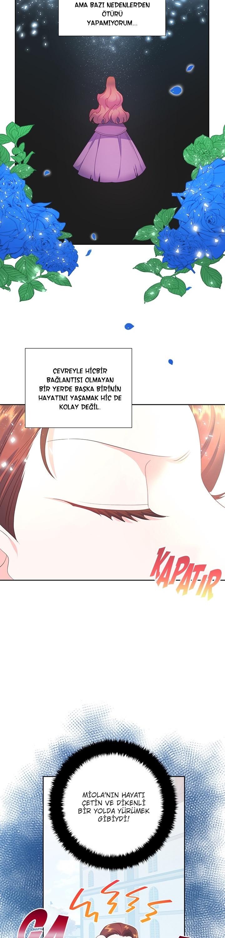 9-cmc1vvo430025phxcd4xhnki2