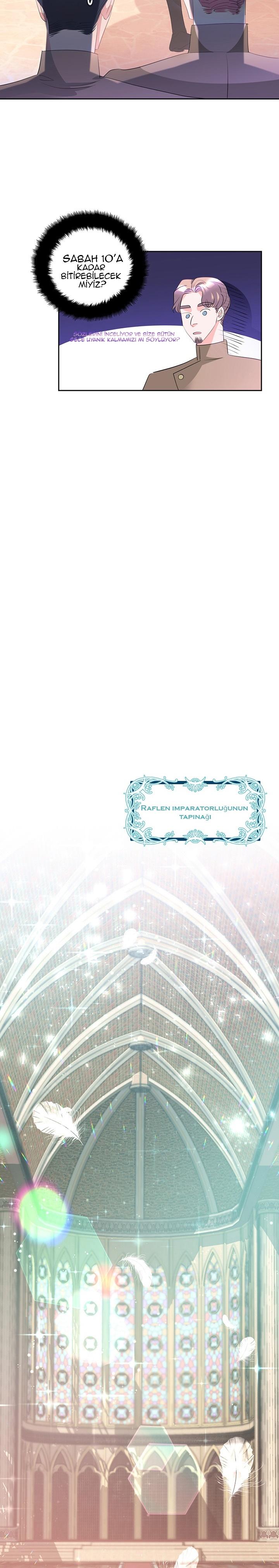 7-cmc1vvo430025phxcd4xhnki2