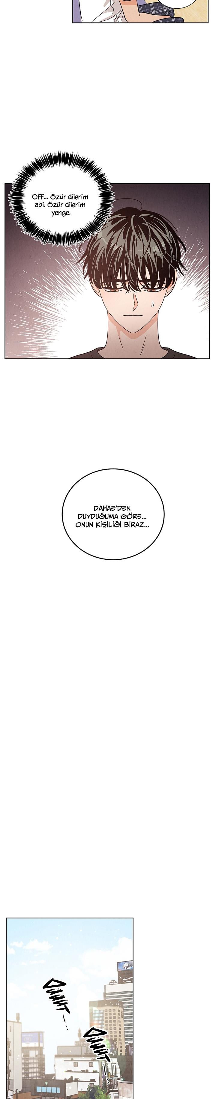 3-cmc1vvo430025phxcd4xhnki2