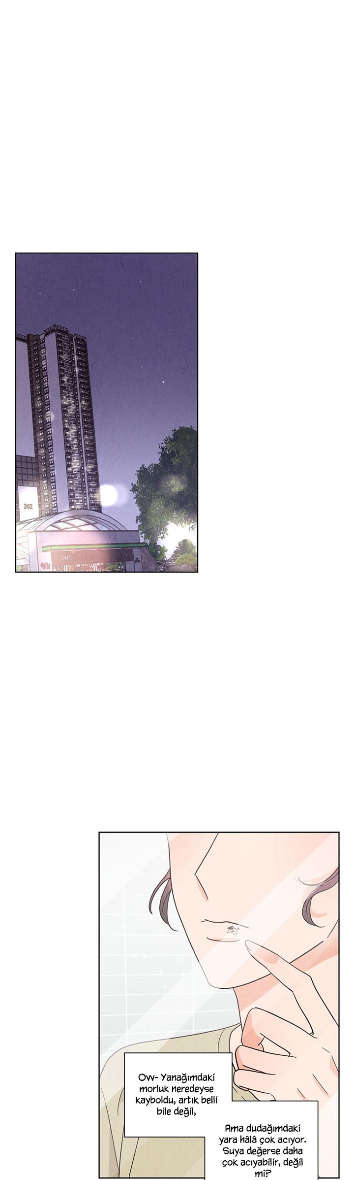 2-cmc1vvo430025phxcd4xhnki2