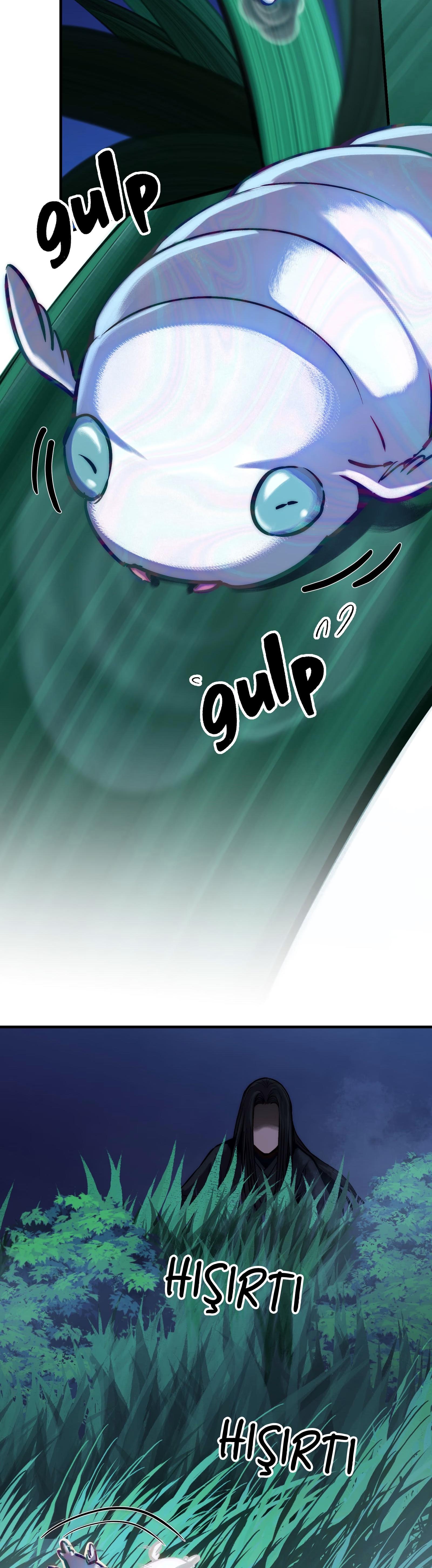 44-cm2rk5cgq0000q6obnukp4wev