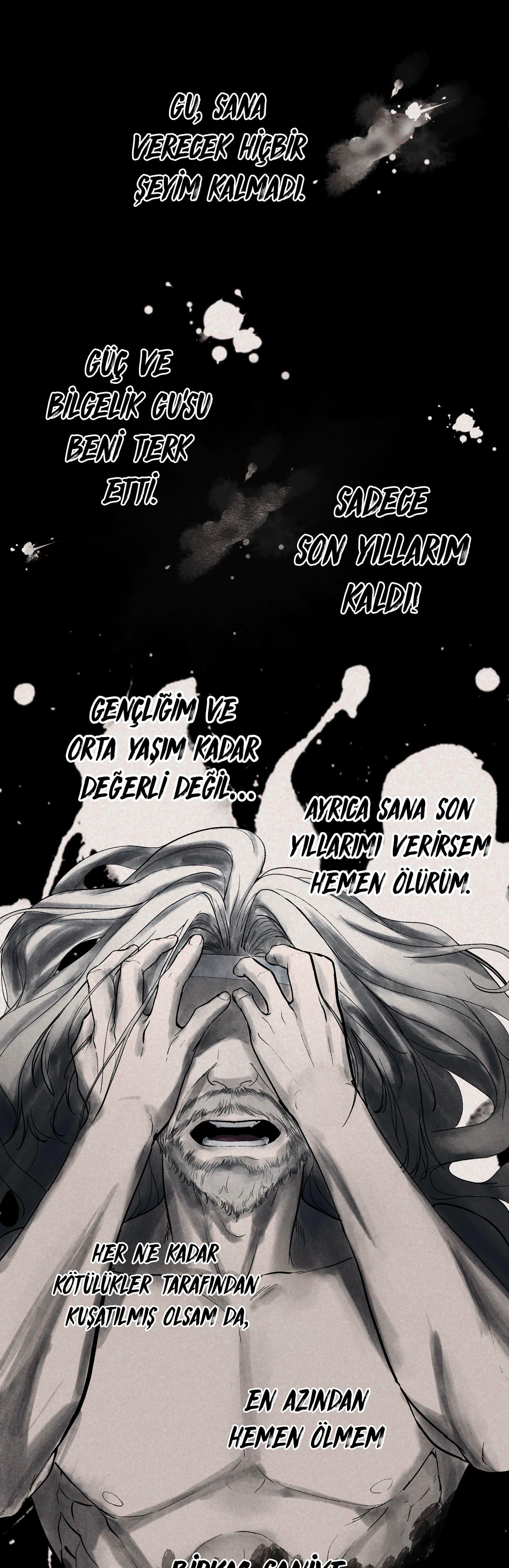 17-cm2rk5cgq0000q6obnukp4wev