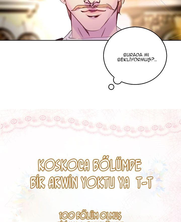 54-cmnq2268807i4ucwa0pciz3a1