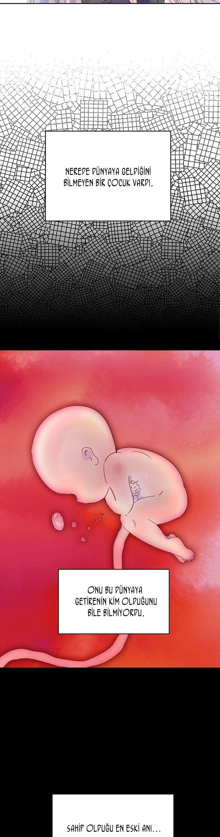 6-cmnq2268807i4ucwa0pciz3a1