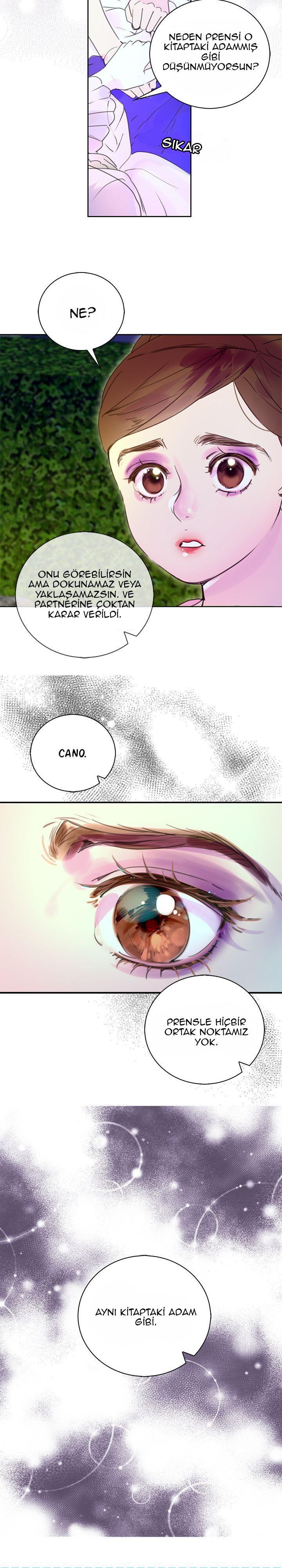 12-cmnq2268807i4ucwa0pciz3a1