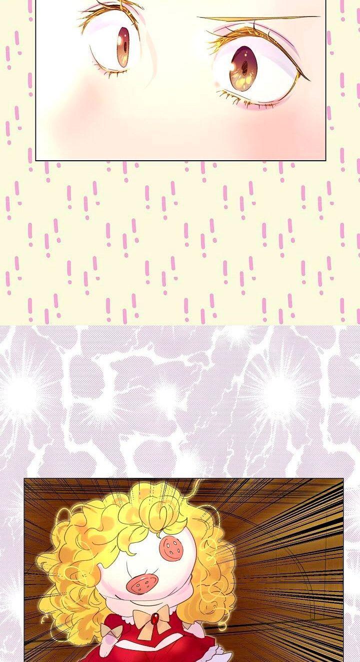 29-cmnq2268807i4ucwa0pciz3a1
