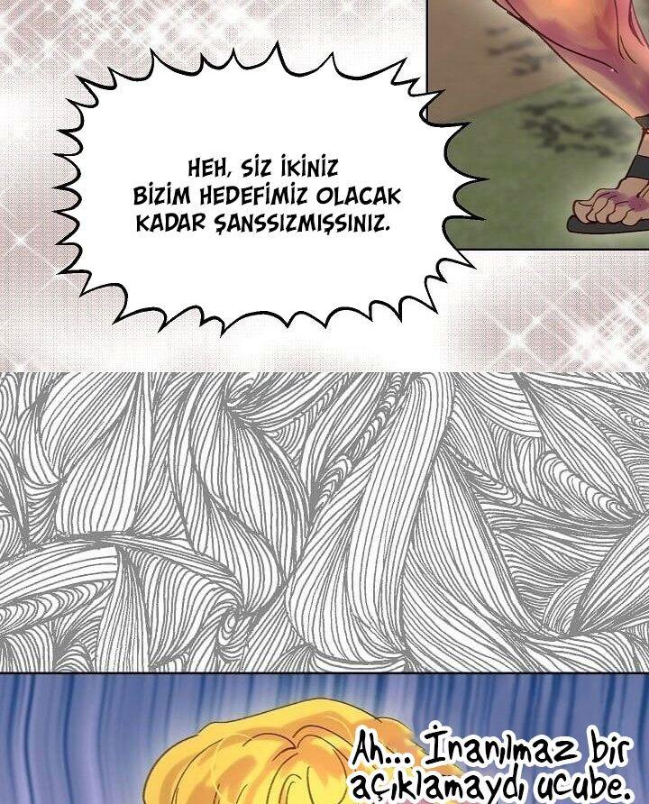 49-cmnq2268807i4ucwa0pciz3a1
