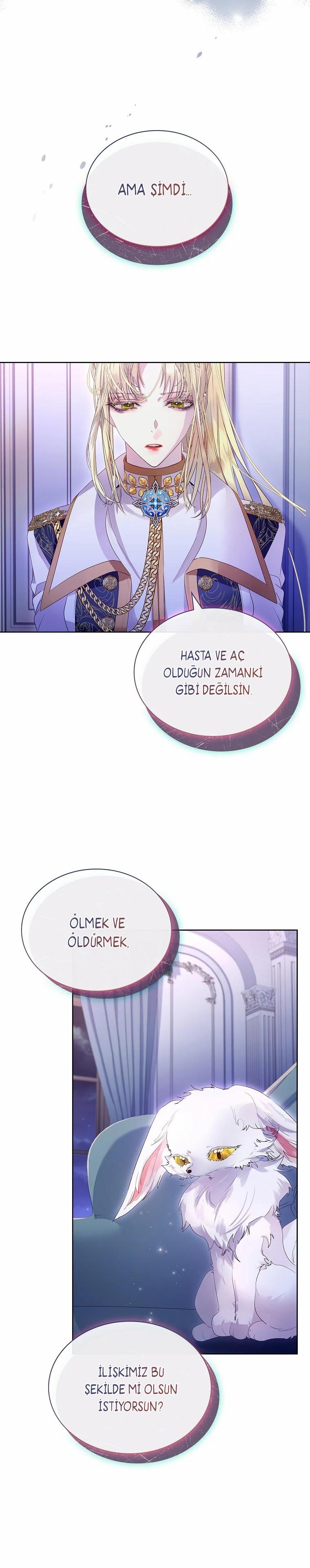 8-cmc1vvo430025phxcd4xhnki2