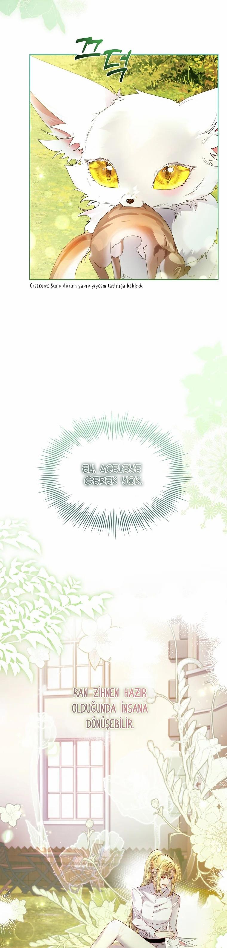 24-cmc1vvo430025phxcd4xhnki2