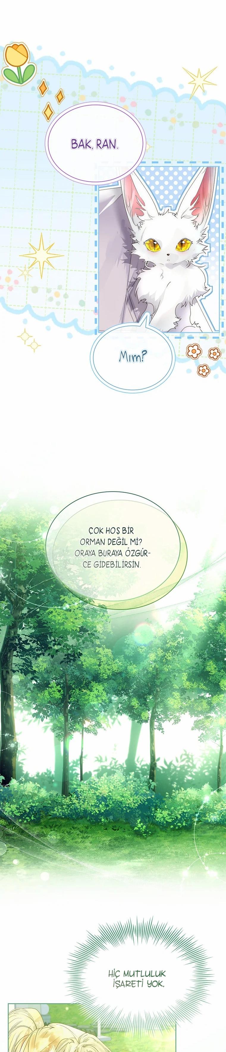 4-cmc1vvo430025phxcd4xhnki2