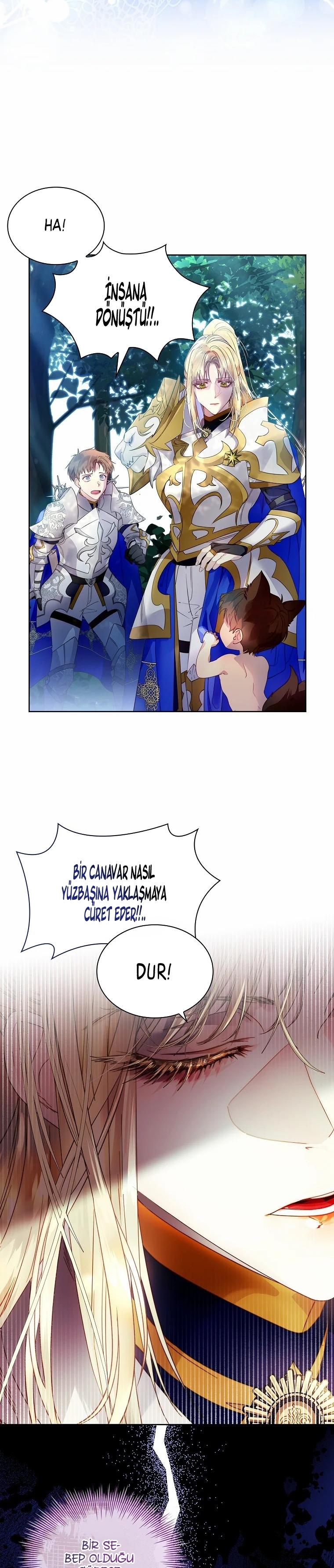 19-cmc1vvo430025phxcd4xhnki2