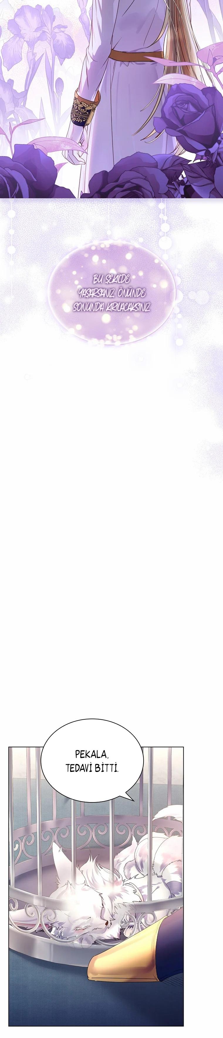 30-cmc1vvo430025phxcd4xhnki2