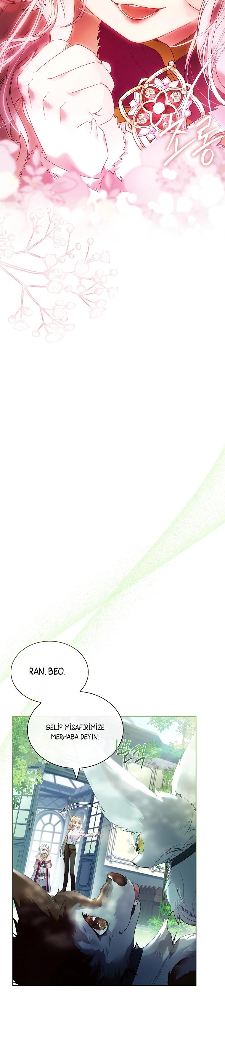 24-cmc1vvo430025phxcd4xhnki2