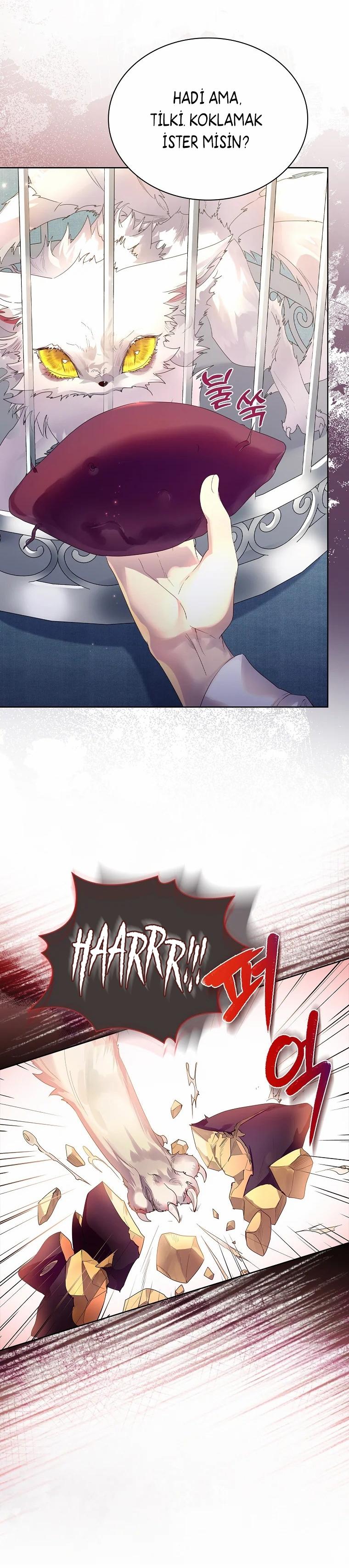 5-cmc1vvo430025phxcd4xhnki2