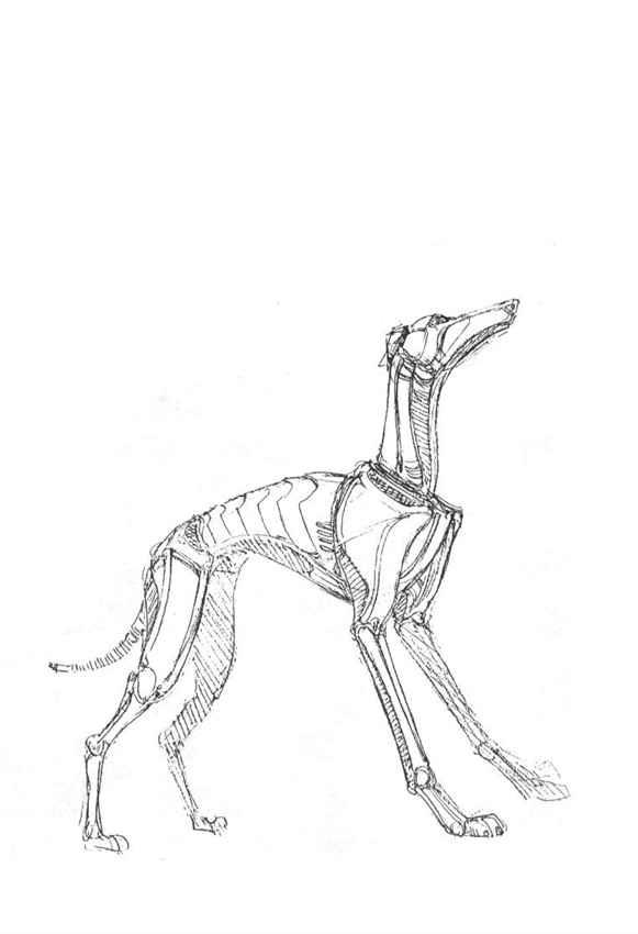 44-cm2hut2y2000067puxvzhx9yq