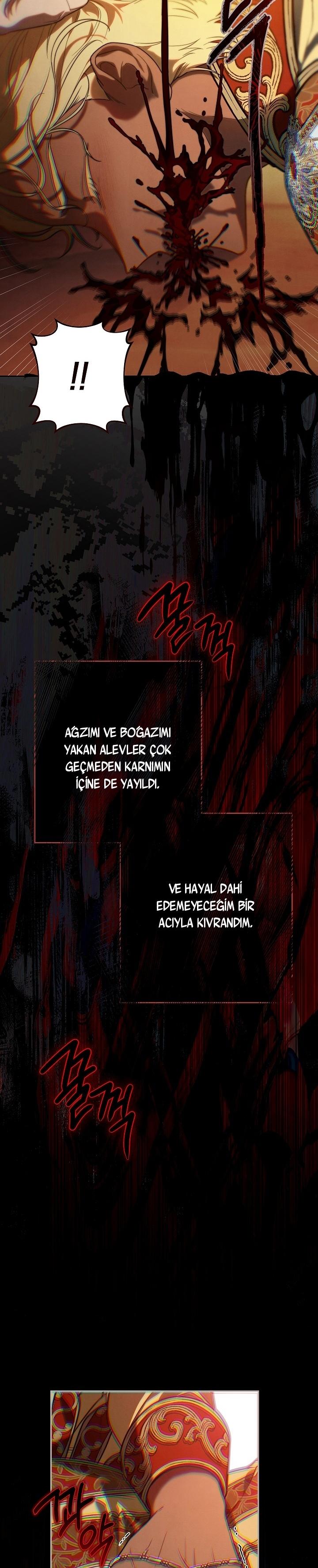 17-cm2xdfr0s0001tt82570od8ls