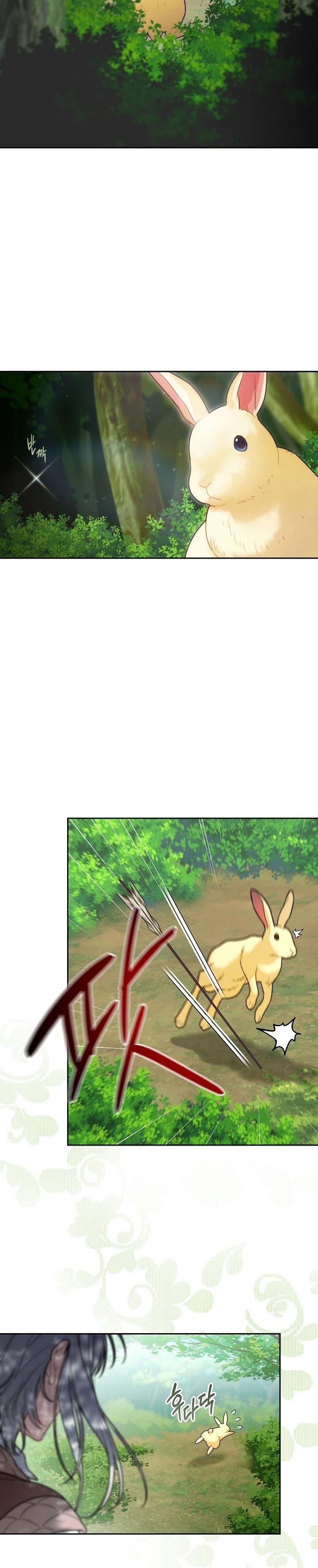 21-cm2xdfr0s0001tt82570od8ls