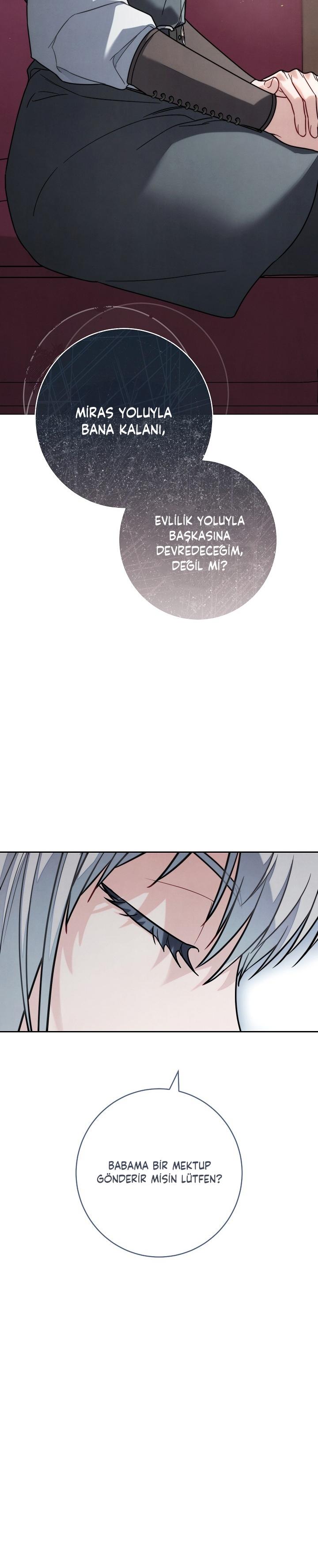 31-cm2xdfr0s0001tt82570od8ls