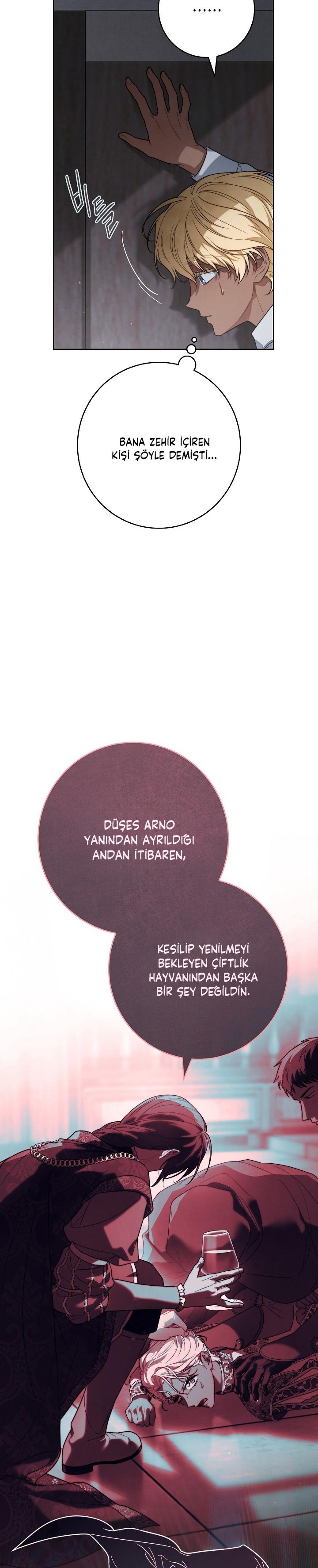 11-cm2xdfr0s0001tt82570od8ls