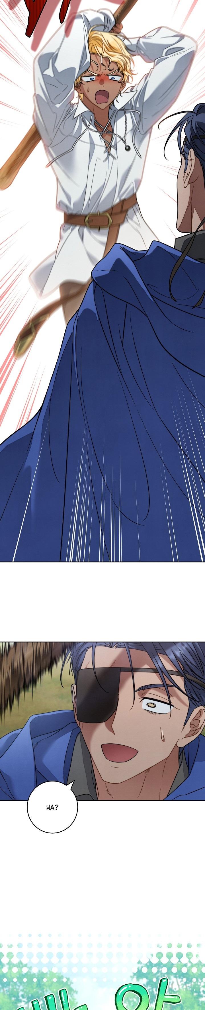 11-cm2xdfr0s0001tt82570od8ls