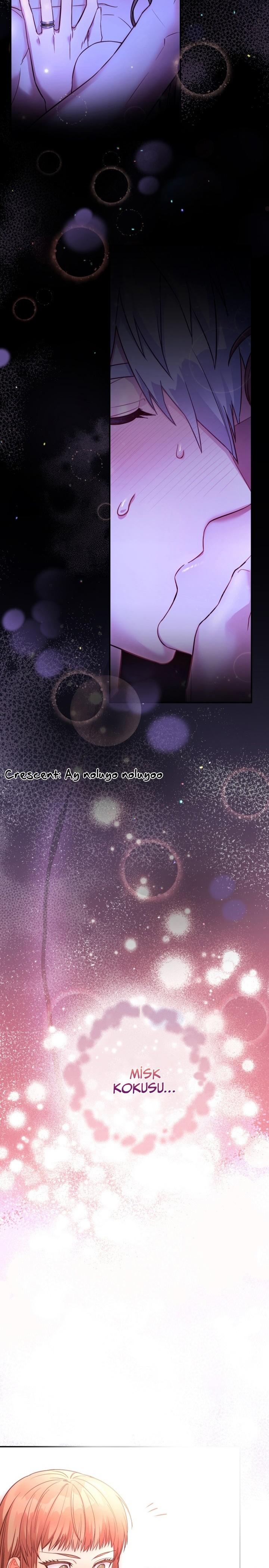 5-cmc1vvo430025phxcd4xhnki2