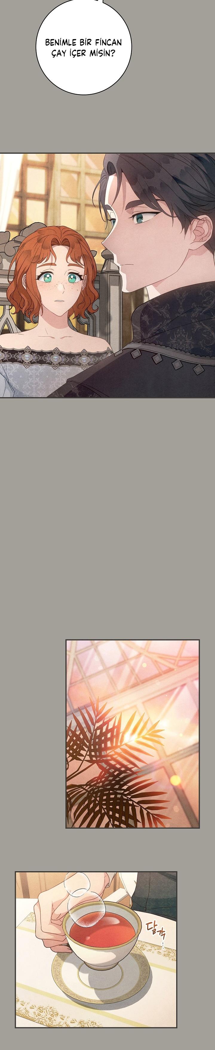 15-cmc1vvo430025phxcd4xhnki2