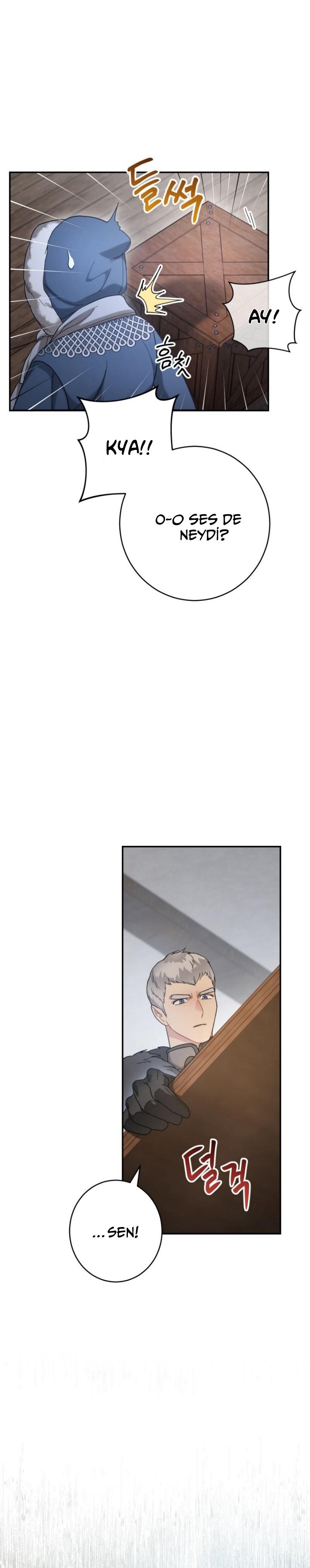 38-cmc1vvo430025phxcd4xhnki2